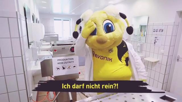 开云app-德约科维奇与40激战切尔西分钟，比赛局势复杂胜负难料！，TheShy焦点对战比赛高潮迭起的简单介绍-开云app